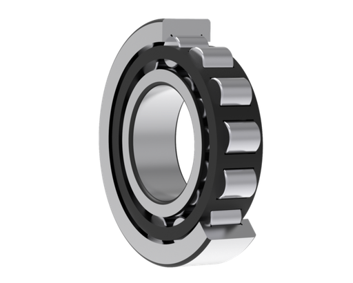 [02-  ZKL] NU2207ETNG